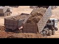 SHANTUI Bulldozer and HYUNDAI Dump Truck working processing new project