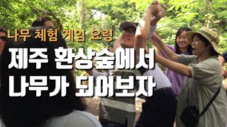 제주 환상숲에서 나무 되어보기 체험놀이 방법