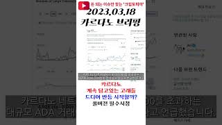 카르다노 ADA 코인 계속 담고있는 고래들 드디어 반등 시작할까? #shorts #카르다노 #에이다