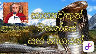 කවුද මේ නාගයෝ? බුදුරජාණන් වහන්සේ සහ නාගයන්.  #බණ  #dharmadeshana #ධර්ම_දේශනා