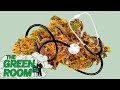 Getting medical cannabis to those who need it most | The Green Room