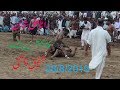 Rana Ali Shan Today Best Stop Vs Shafiq Chisti Full Tamachy dar Kabaddi on Chung Kabaddi