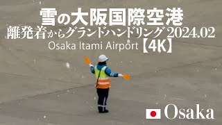 雪の大阪国際空港 離発着からグランドハンドリング 2024.02 【4K】 Osaka Itami Airport