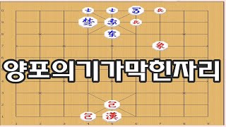 장기 [양포작전] - 양포자리가 상대멱을 막는 급소자리 [장기이기는법]