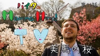 マンマミマ TV - 第十一話 - 美馬の桜　【徳島県美馬市の自然】