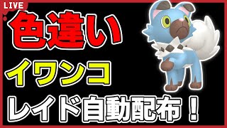 【ワンパン最速】色違いイワンコレイド自動配布！【ポケモンSV】#5