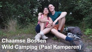 Back to the woods | wild camping (paal kamperen) in the Chaamse Bossen | Drone \u0026 sony A6300