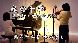 【庭の千草 The Last Rose of Summerヴァイオリンとピアノ Violin\u0026Piano】里見 義(ただし)作詞  アイルランド民謡