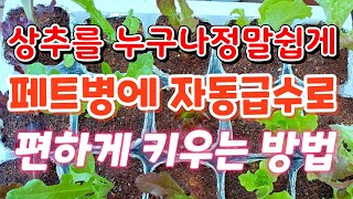 꽃보다상추 126                                 초보자도 자동급수로  페트병에 편하게 상추키우는 방법