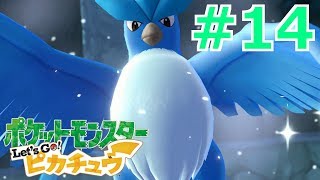 【女性実況】頼むからゲットさせてくださいよ【くろうのポケットモンスター Let's Go! ピカチュウ】#14