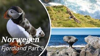 Norwegen, Norway-Der Süden-Fjordland- # 3: Vogelinsel Runde - Papageitaucher (Puffins); Kannesteinen