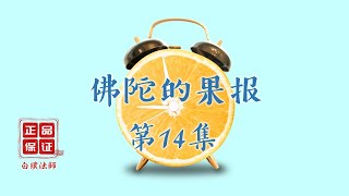 佛陀的果報14: 釋迦佛背痛的業報--白璞法