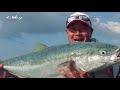 the way rockshore in oki islands japan fishing style of zenaq english subtitles