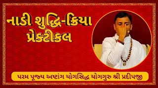 પ્રેક્ટીકલ નાડી-શુદ્ધિક્રિયા શિબિર દિવસ-2 શ્રી સત્યમ્ યોગ ફાઉન્ડેશન