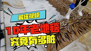 解壓視頻：用了10年的地毯有多臟？看完這個視頻就明白了 #科學實驗 #科學試驗 #格蘭特 #亞當 #傑米