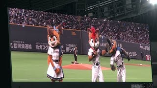 181011 勝利のジンギスカンダンスを踊るファイターズガール