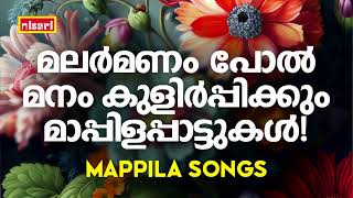 Mappilapattukal | Mappila Pattukal Malayalam | Malayalam Mappila Songs | Old Mappilappattukal