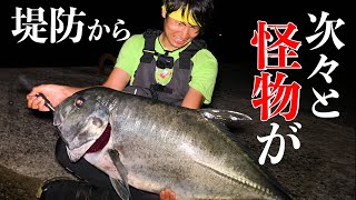 屋久島の堤防がマジで規格外【屋久島3夜】