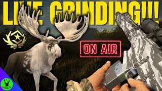 NEW G1 & MAP SOON!! Let's GRIND & CHAT!!! - Call of the Wild LIVE