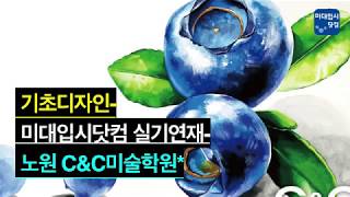 [기초디자인] 미대입시닷컴 SNS실기연재 - 노원 씨앤씨 미술학원 - 기초디자인 개체묘사 과정작-블루베리