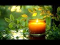 Relaxing Music for Relieving Anxiety and Stress 🌿 Sleeping Music, Healing Insomnia