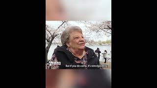 7News tags along with DC senior citizen as she visits cherry blossoms, and offers unique perspective