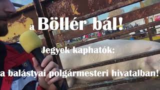 XVIII. Balástyai Böllérfesztivál - előzetes