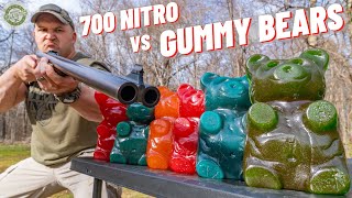 700 Nitro vs Giant Gummy Bears 🐻 (World’s Biggest Elephant Gun)