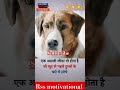 rsmotivational एक असली लीडर वो होता है जो खुद से पहले viralshort trending education ♥️♥️♥️