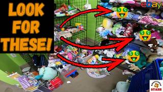 What I'm Looking for at Goodwill | Reseller Haul