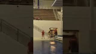 Lauren Gryboski Back 1.5 Somersaults Pike 203b 1m Springboard Diving