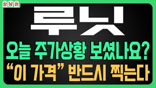 [ 루닛 주가전망 ] \