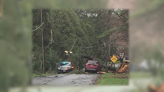 Heavy winds knocked over trees, power lines in the northern part of Connecticut