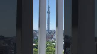 スカイツリーのある景色/ A view with Skytree #tokyoskytree #asakusa