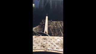 Woolshed, shed cleaning under grating