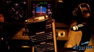 B737 Rudder Single Engine & Autopilot