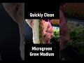 How to quickly clean Reusable Microgreen Grow Medium