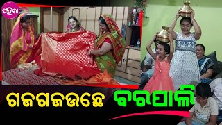 Barpali Sital Sasthi: ଶୀତଲ ଷଷ୍ଠୀ ଯାତରା ଲାଗି ଗଜଗଜଉଛେ ବରପାଲି