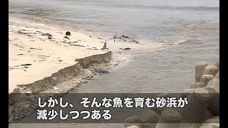 【山口県】砂浜が消えていく海岸浸食 | ソーシャルイノベーションニュース