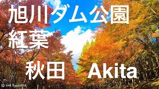 【旭川ダム公園】紅葉 秋田 akita 秋 sony a7r3 Gopro hero7 black 2018.11.4