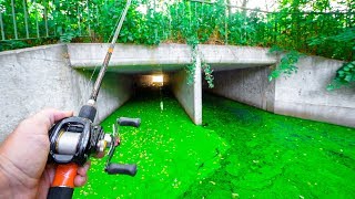Fishing SECRET TUNNEL for URBAN SWAMP Fish!!! (Kicked Out)