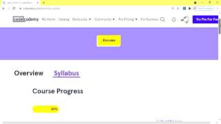 Learn Python 2 - PygLatin - Ahoy! (or Should I Say Ahoyay!)