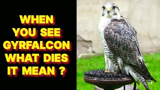 WHEN YOU SEE A GYRFALCON BIRD WHAT DOES IT MEAN ?