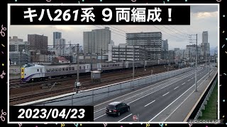 【レア？】豪華９両編成！ キハ261系 北斗13号＆回送を見てきた 2023/04/23 #キハ261系  #JR北海道