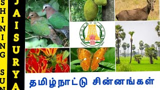 தமிழ்நாட்டின் மாநில சின்னங்கள் in English | Tamil Nadu State Symbols |Tamil Nadu GK | State Symbols