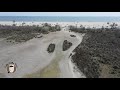 excursie de o zi la sfântu gheorghe delta dunării. plaja sălbatică. saint george danube delta safca