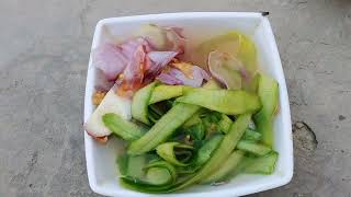 How to Recycle Cucumber and Onion Peels