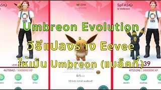 Pokemon Go วิธีแปลงร่าง Eevee ให้เป็น Umbreon (แบล็คกี้) / How to evolve Eevee to Umbreon