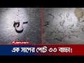 রাসেল’স ভাইপার আতঙ্ক! পিটিয়ে মারা হলো ৩৩টি সাপের বাচ্চাকে | Russell's Viper | Jamuna TV