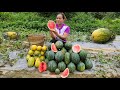 Harvest Watermelon Garden In The Field - Build Pig Barn Floors - Lý Thị Ca